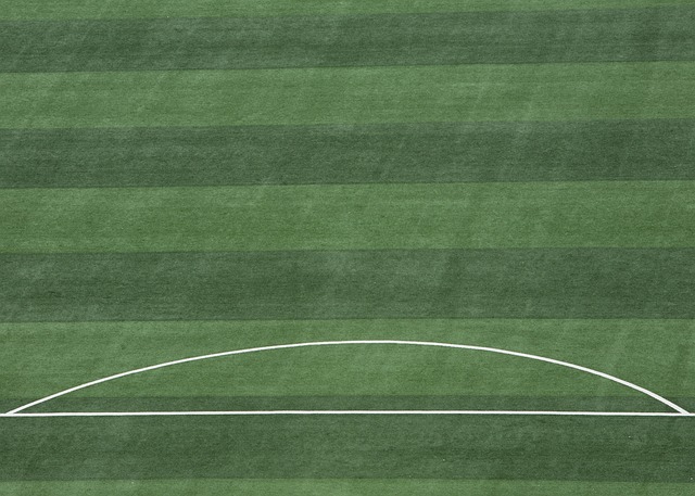 奥尔莫：欧洲杯门线解围是最兴奋时刻；若拿重要冠军就剃光头