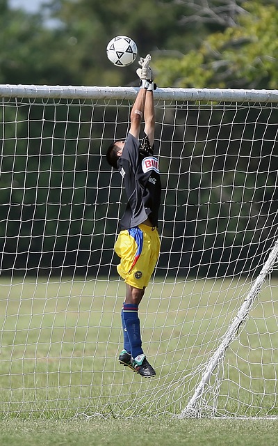 德天空：拜仁目前对格里马尔多没兴趣，夏窗不太可能引进他