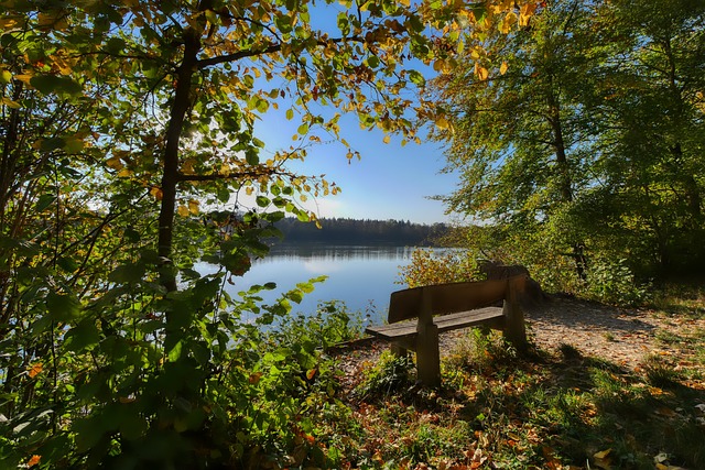 RB莱比锡vs法兰克福：劳姆、古拉西奇首发，巴舒亚伊、堂安律出战